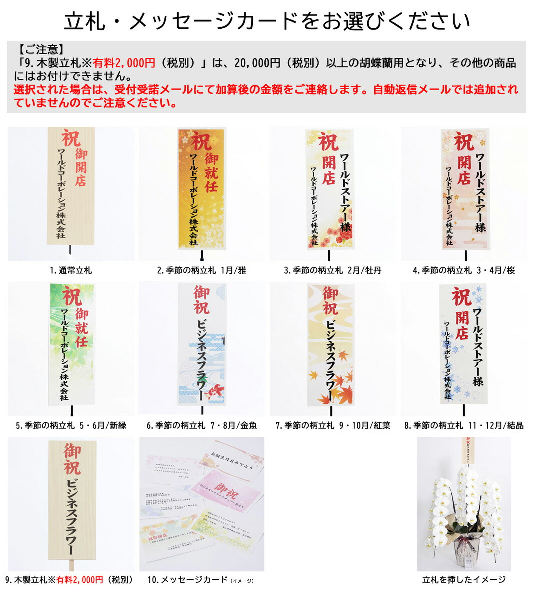 胡蝶蘭 農林水産大臣賞受賞農家から直送 大輪5本立開店祝い 開業祝い 就任祝い 移転祝い 昇進祝い 退職祝い 当選祝い 創業祝い 栄転祝い 贈り物 フラワーギフト プレゼント お祝い お花 送料無料 メッセージカード無料 ラッピング無料 立札無料 楽ギフ あす楽