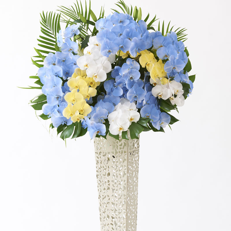 アートスタンド花 カラー胡蝶蘭 彩 Irodori ブリキ型 送料無料 開店祝い 開業祝い 開院祝い 開局祝い 改装祝い オープン祝い 公演祝い 開演祝い 出演祝い 楽屋見舞 贈り物 フラワーギフト プレゼント お花 立札無料 配送設置無料 スタンド回収無料