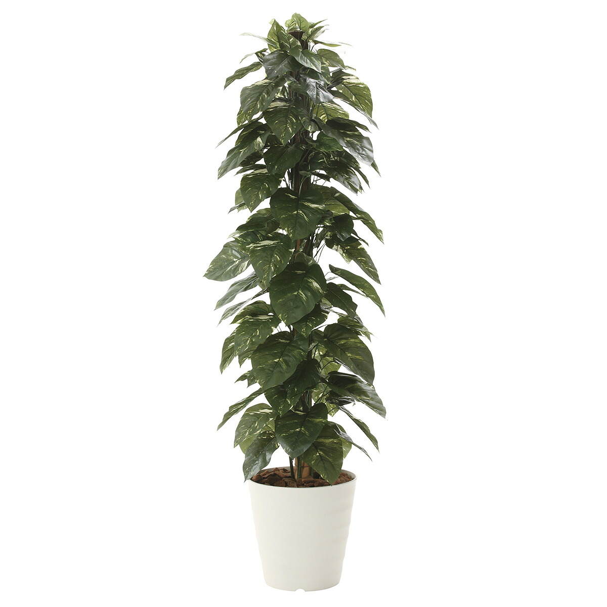 【送料無料】造花アート・観葉植物　ジャイアントポトス1.8お祝い アーティフィシャルフラワー 高級 光触媒 消臭 抗菌 防汚 空気浄化 フラワーギフト 贈答 プレゼント 贈り物 全国配送 立札無料 メッセージカード無料 楽ギフ｜花ギフトの通販サイト　hana