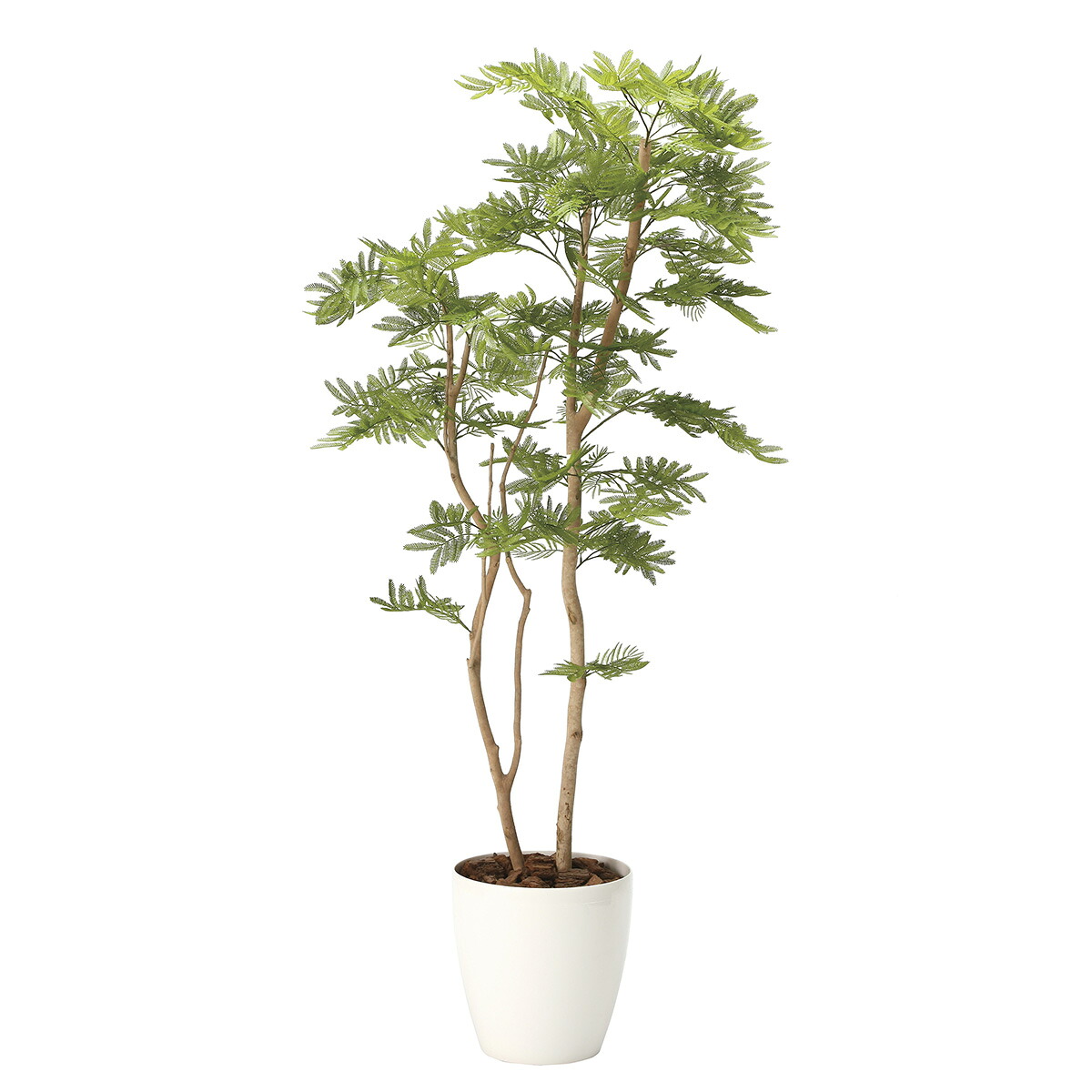 【貨物輸送無料】造花美術・観葉草木 ねむの木1.8（ポリ製）御祭り アーティフィシャルフラワー 飛び切り 光触媒 消臭 抗菌 防汚 空気の状態斎戒もく浴 御花差し上げ物 譲りわたす 差し上げ物 差し上げ物 全国送りとどける 立札無料 申したて歌留多無料 楽ギフ