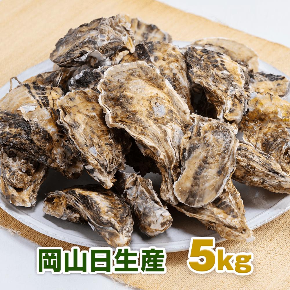 楽天市場 日生 牡蠣 岡山 ひなせ 特大 日生の牡蠣 むき牡蠣 むき身 約50 60粒 約1kg Oyster 加熱用 剥き牡蠣 カキオコに最適 産地直送 全国一律送料無料 クール便 取り寄せ 河内工房