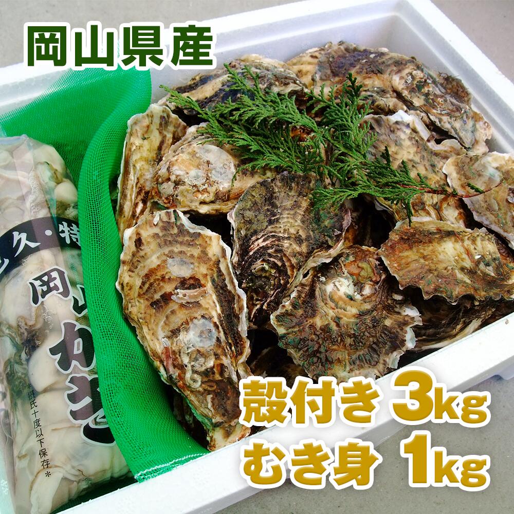 【楽天市場】特選殻付き牡蠣 半缶(5kg) | 岡山県 牛窓産 殻付き牡蠣 ナイフ、軍手付き 加熱用 お歳暮 送料無料 殻付き カキ かき 牡蛎  殻付き牡蠣 海鮮 一斗缶 バーベキュー BBQ お花見【mtb-kd】【fsp2124】 : 備前焼とグルメの店七-nana