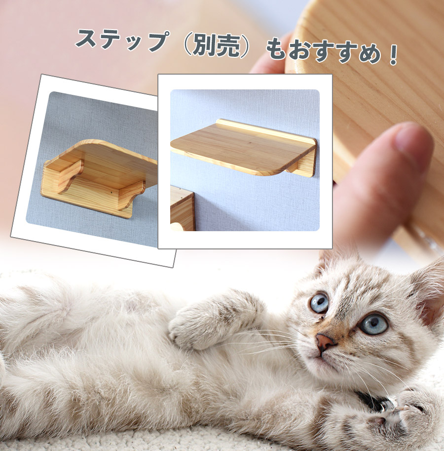 いよう】 YOYONYAN 猫 木製壁掛け ハンモック キャットウォーク 透明 キャットホイール ハウス 宇宙船 カプセル型 壁掛け式 キャットタワー  猫用：Fortuna Bell んでおり - shineray.com.br