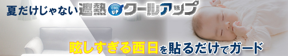 楽天市場】◇ シャムワウ ラージ1枚 ◇ お掃除大国ドイツ 発