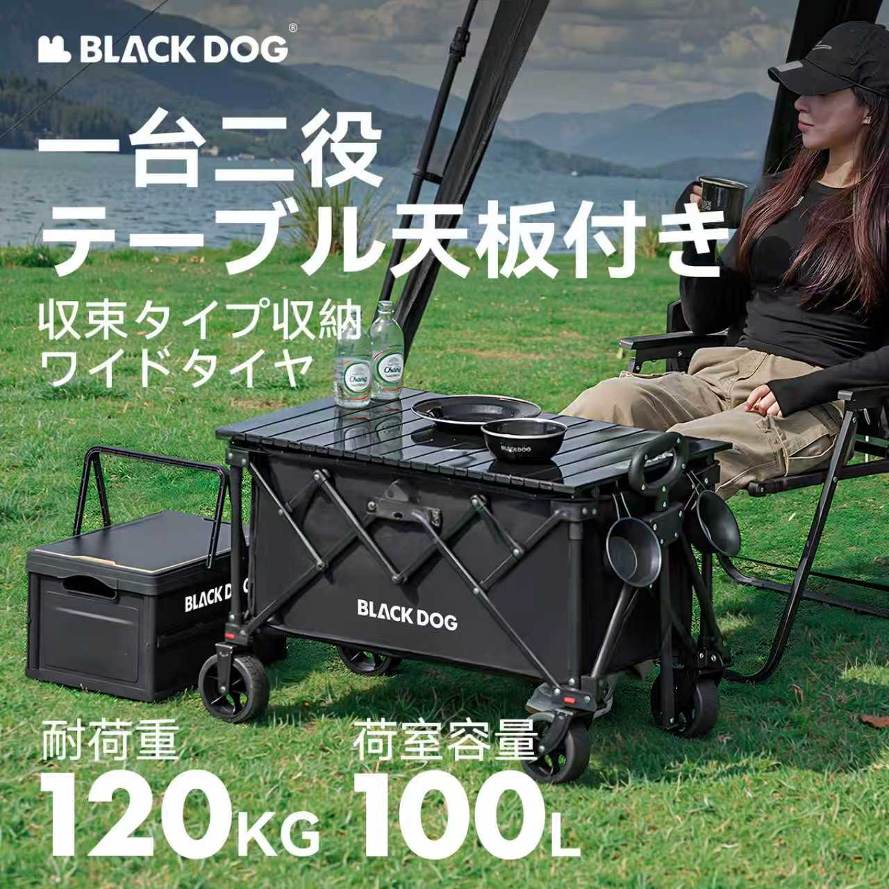 楽天市場】BLACKDOG 収納ボックス 60L 大容量 折り畳み式 収納