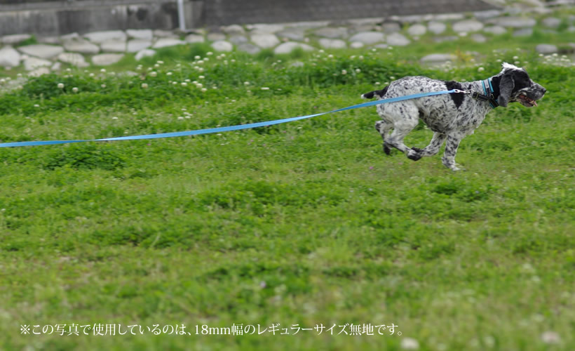 楽天市場 5m Blc小型犬用ロングリード 柄 ザ ブラックラブカンパニー