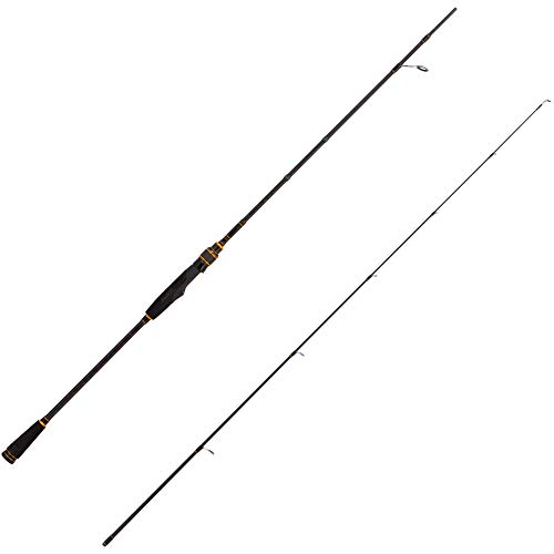 AbuGarcia (アブガルシア) 綿津見活動の領域 スーパーライトジギング OCEANFIELD SUPERLJ OFSS-672SLJ
