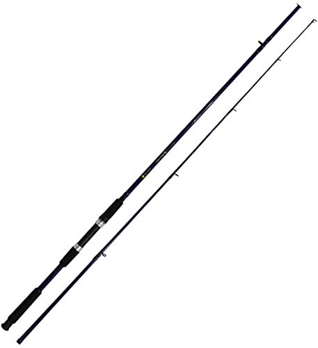 楽天市場】プロマリン(PRO MARINE) PEゲームショアジグ セット