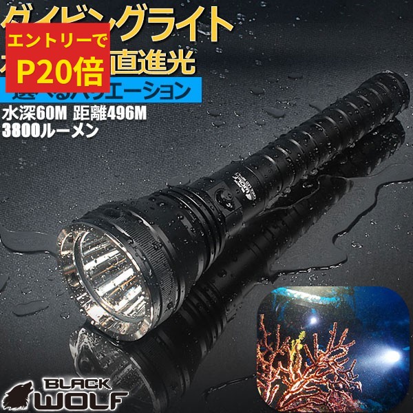 楽天市場】アクアラング AQUALUNG LED水中ライト フォーカス/UW 1050