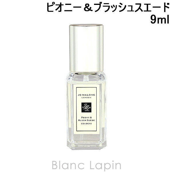 楽天市場】〔400円OFFクーポン配布中〕【ミニサイズ】 ジョー