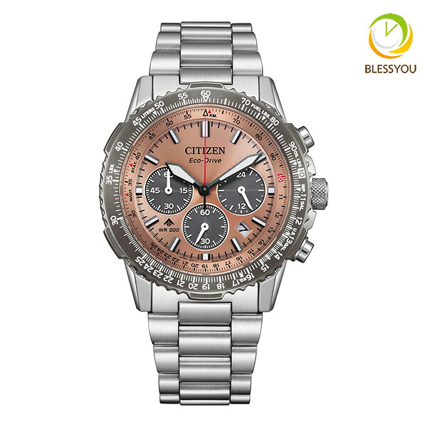 CITIZEN PROMASTER シチズン エコドライブ電波 腕時計 メンズ プロマスター CA4664-60X 88.0 2025年3月|ペアウォッチ Gショック BLESSYOU