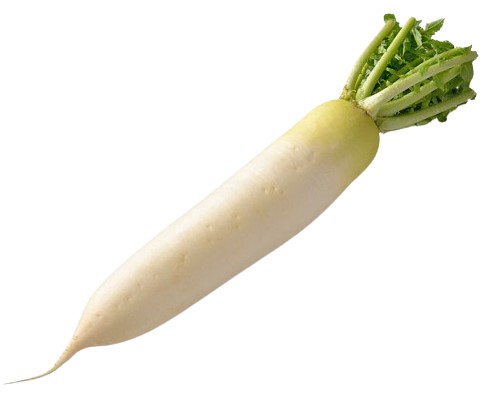 楽天市場】【箱売】 かいわれ大根 シングルパック 20パック 1箱 埼玉県