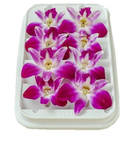 【朝市場直行】タイ産　デンファレ（飾り花）PC　約30g　x6個セット【冷蔵】