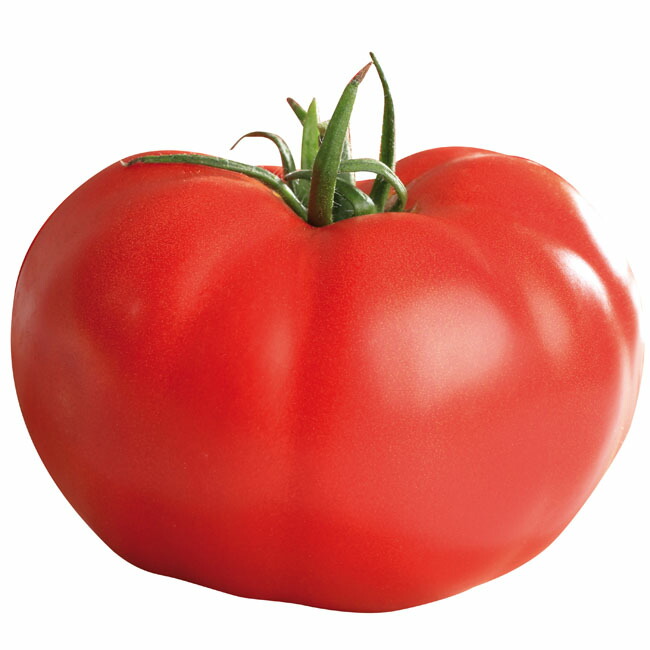 楽天市場】【朝市場の新鮮野菜】パプリカ 赤 Mサイズ(約120g）1個 : ビーライフショップ
