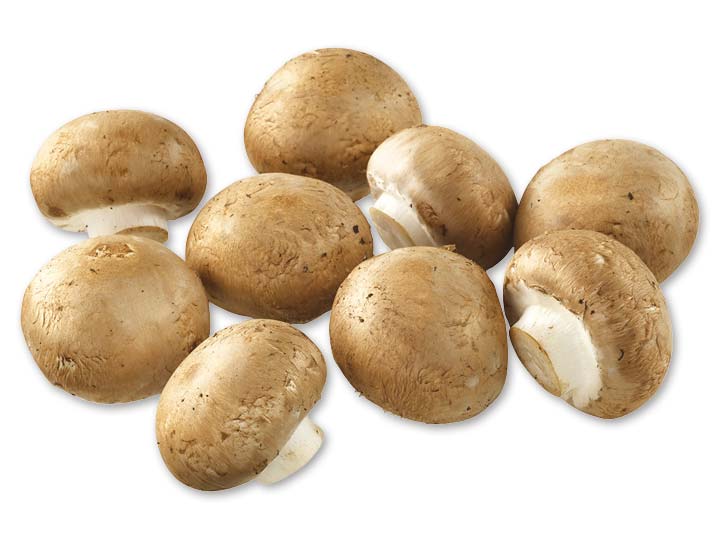 マッシュルーム（感謝） 楽天市場】【送料無料】【朝市場直行】茨城県ほか ブラウン