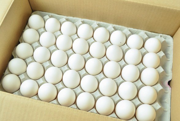 【朝市場直行】バラ詰め鶏卵（2L）132-142個前後　国産　10kg位【冷蔵】