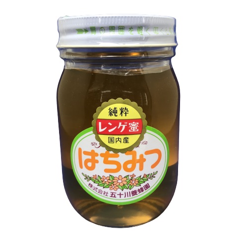【送料無料】恒食　五十川　国産はちみつ　レンゲ　500g　x2個セット