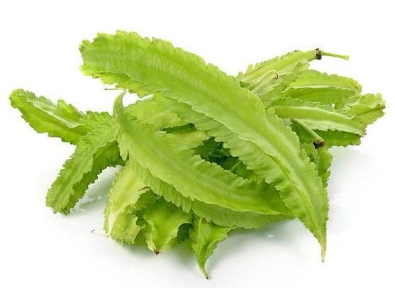 楽天市場】沖縄うりずん豆（四角豆）100g : 沖縄お土産通販