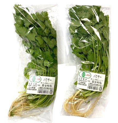 楽天市場】【朝市場直行】千葉県ほか コリアンダー パクチー（香菜）1