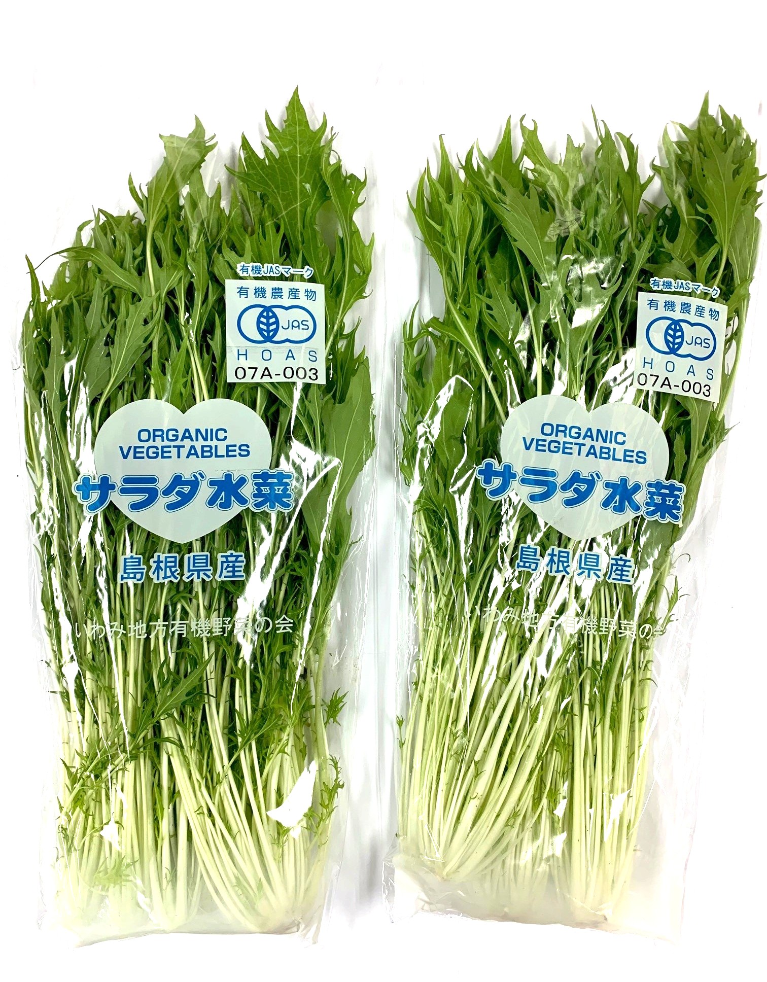 水菜商品 Amazon | カネコ種苗 園芸・種 KS100シリーズ サラダみずな 早生