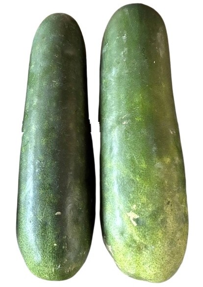 ハヤトウリ21kg ハヤブサ ライフジャケット YT321G 鬼掛 ライフジャケット L2-Ⅰ(L