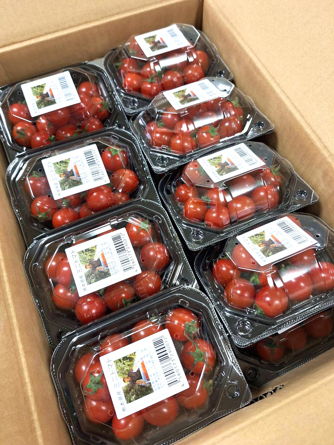 <br>【特別栽培】熊本県産　肥後のミニトマト　約120gP　×24P/箱【冷蔵】