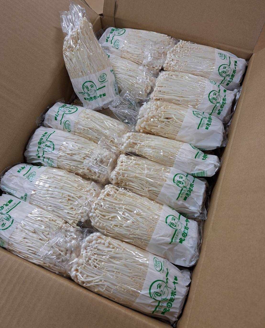【農薬未使用】長野県　ホワイトえのき　約200gP×30P（箱）【冷蔵】