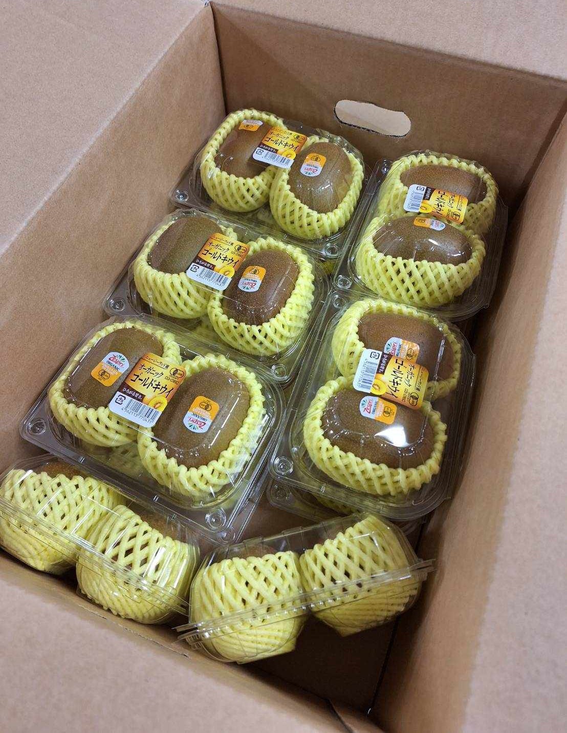 <br>【有機認証】ニュージーランド産　有機キウイフルーツ(ゴールド）2個入P　約350g　×12P（箱）【冷蔵】