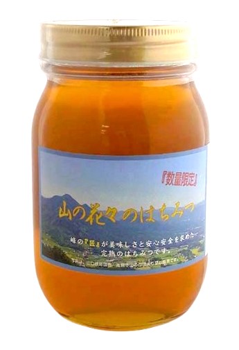 つかもと養蜂場　蜂蜜　山の花々のはちみつ　600gｘ4 セット