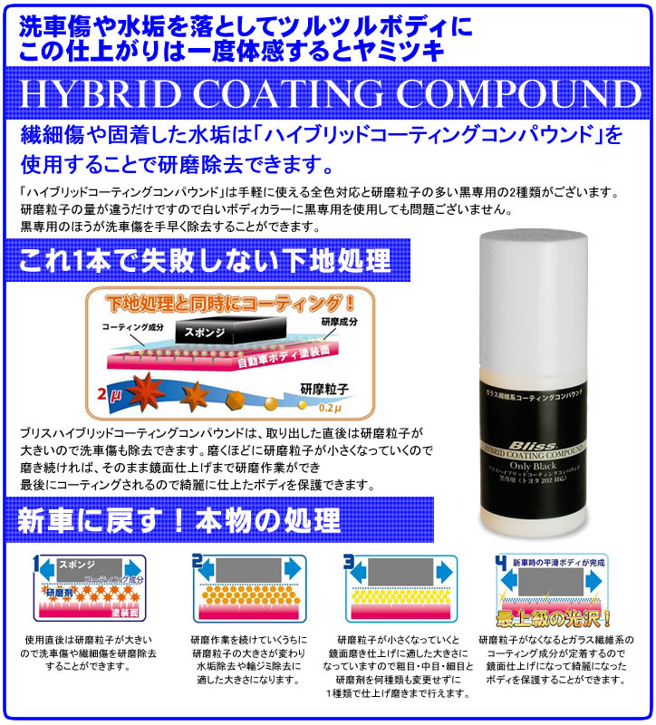 ブリス 施工前の下地処理にお奨めのセットです 下地を綺麗に整えてからコーティングすることで効果が高くなります メンテナンスセット 黒専用