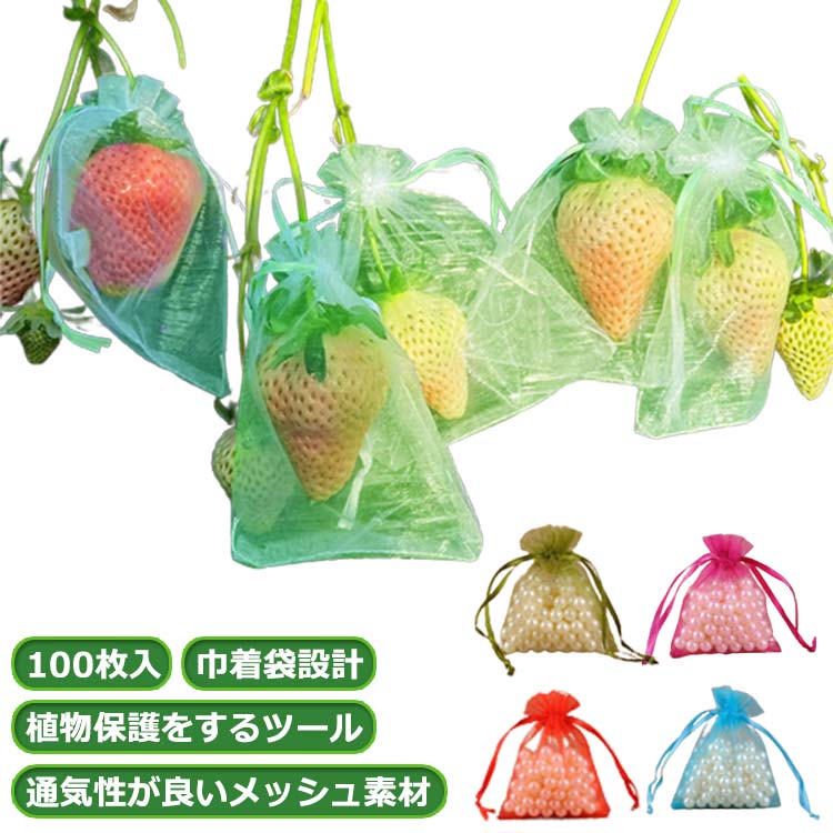 【18日迄】20倍!成り物用防鳥サイバー空間 果物保護すること御徒面子 果物袋 果物保護することサイバー空間 保護することサイバー空間 100枚入 作りだす用 オーガンディー出どころ 桃 木ノ実袋 サイバー空間 鳩よけサイバー空間 オランダ苺 通気性 オランダ苺 鳥よけ 虫よけ 鴉打つ手 害虫鳥避け メッシュ 鳥よ