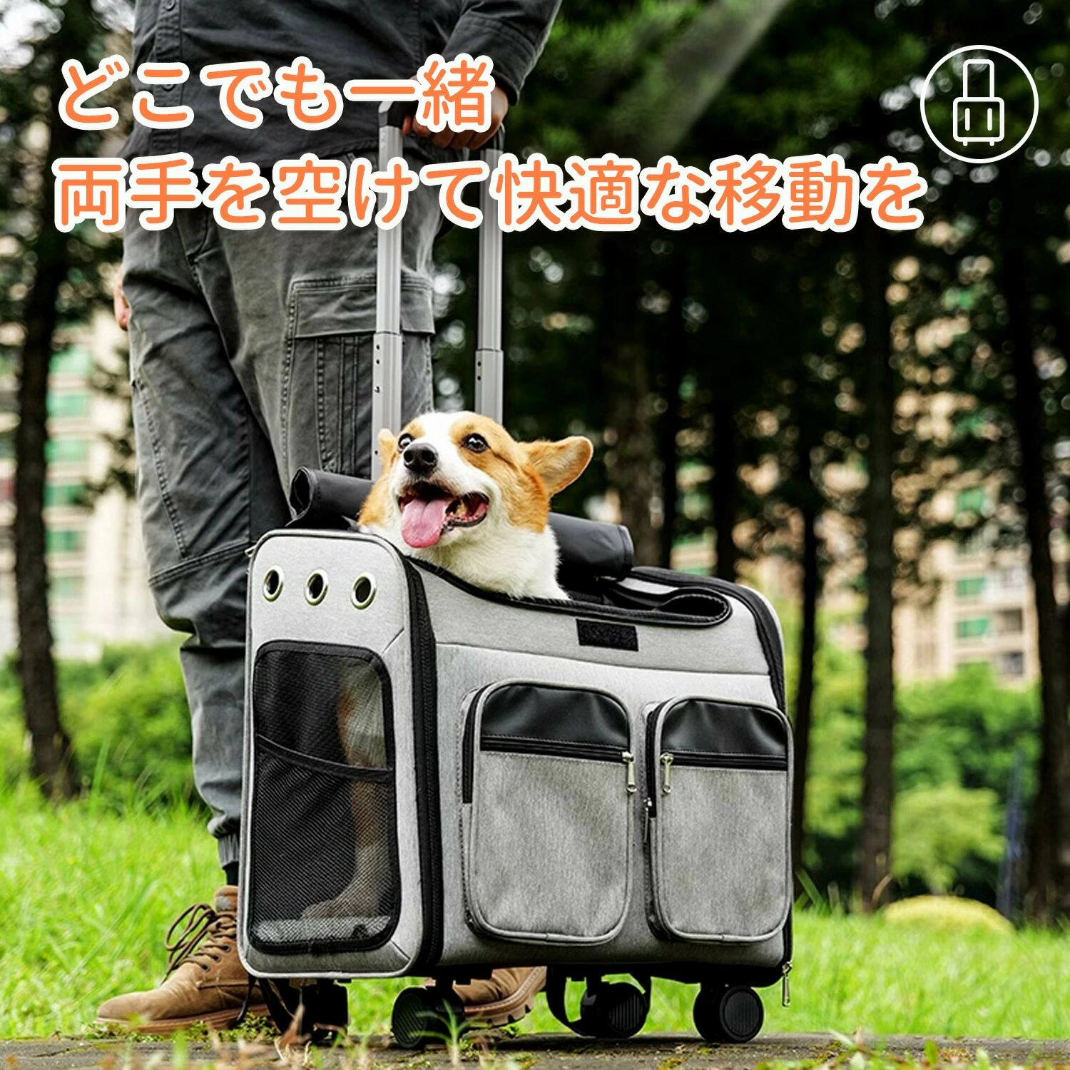 【動画あり】ペットキャリーバッグ 折りたたみ 大きめ リュック ペットキャリー バック ペットバッグ キャリーバッグ 猫用 犬用 ペット用品 小型犬 中型犬 トリミング 防災 通院 病院 ドライブ 避難用 メッシュ 軽量 折り畳み イヌ ねこ ネコ|Bliss time shop
