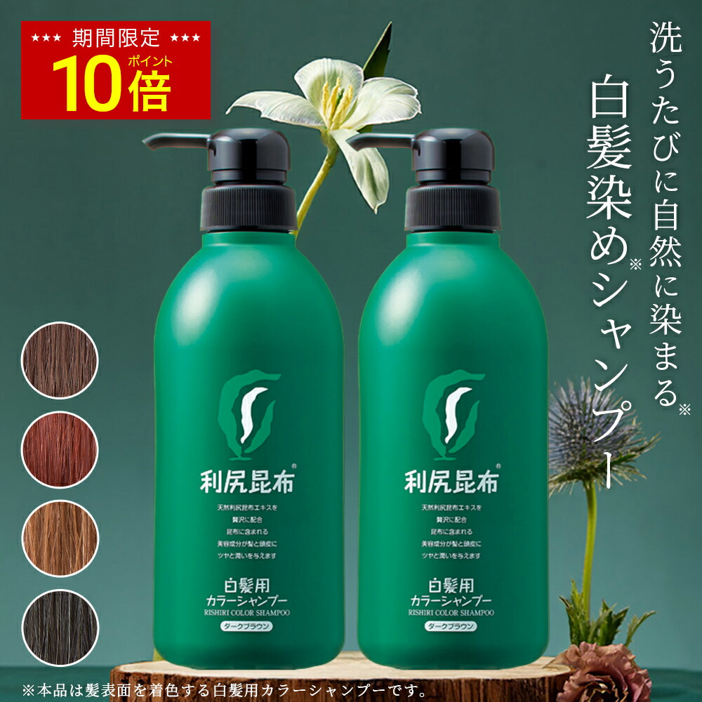 利尻カラーシャンプーA ダークブラウン & カラーコンディショナー×2セット 利尻 利尻カラーシャンプー ダークブラウン 500ml 大容量サイズ