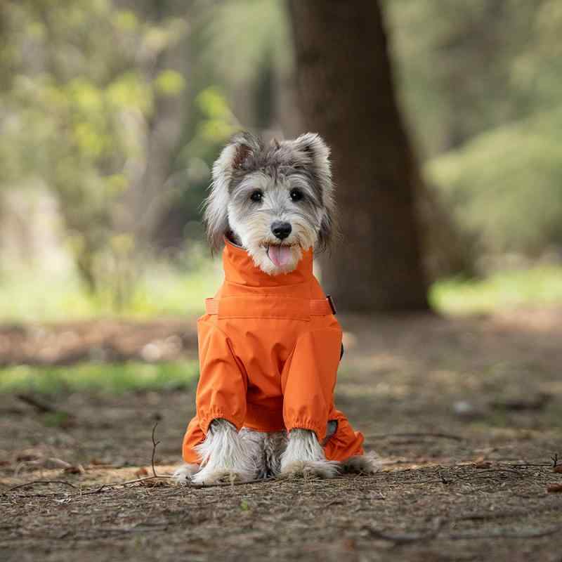 犬用レインコート ドッグウェア オールシーズン対応 全身フルカバー 防水 撥水 防風 ハイネック 四足 リード穴付き ハーネス一体型 ポリエステル製 散歩 雨具 小型犬 中型犬 大型犬 ダークグレー レッド オレンジ