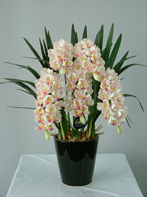 楽天市場】オンシジューム 白 10本 光触媒アートフラワー（造花