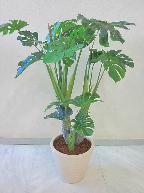 光触媒 観葉植物 造花 モンステラ アートフラワー 送料無料 ミニ 空気清浄機 インテリア ギフト プレゼント 贈り物 お誕生日 記念日 開店祝い｜ブルーミンググレイス
