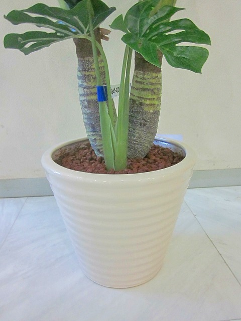 光触媒 観葉植物 ミニ 造花 モンステラ 贈り物 アートフラワー 送料無料 ギフト ミニ 空気清浄機 インテリア ギフト プレゼント 贈り物 お誕生日 記念日 開店祝い ブルーミンググレイス光触媒 観葉植物 造花 モンステラ アートフラワー 送料無料 ミニ 空気清浄機