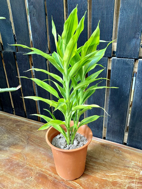 こんな会社で働きたい 千葉編 クロスメディアhr総合研究所 1000円以上送料無料