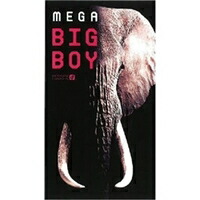 【１４４個書き割り】 メガビッグボーイ 12個入り口・入口×１４４個書き割り １容れもの分  【定め事品】   オカモト  予防医学