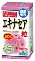 【１０個書き割り】 エキナセア粒100% 280粒×１０個書き割り 山本漢方 【定め事品】  ※楽にする税率客体品