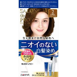 【36個セット】【1ケース分】 サロンドプロ 無香料ヘアカラー クリーム 白髪用 2 より明るいライトブラウン(1セット)×36個セット 1ケース分 【正規品】【dcs】