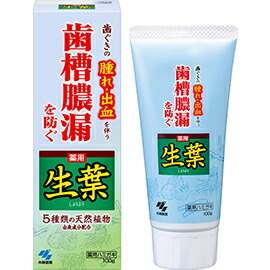 【４８個セット】【１ケース分】 小林製薬 薬用歯みがき 生葉(100g)×４８個セット　１ケース分 【正規品】【dcs】【t-6】