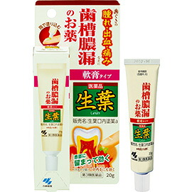 【第3類医薬品】【20個セット】 生葉 口内塗薬20g×20個セット 【正規品】【t-12】