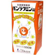 【３０個セット】【１ケース分】 パンラクミン錠 550錠 【医薬部外品】&times;３０個セット　１ケース分 【正規品】【dcs】｜ブルームグリーン