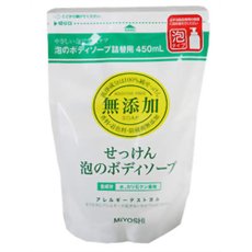 【24個セット】 無添加 せっけん 泡のボディソープ 詰替用(450mL) ×24個セット 1ケース分 【正規品】【dcs】|ブルームグリーン