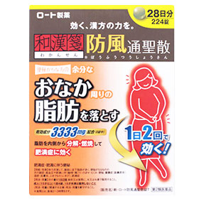 【第2類飲み薬】【２０個書き割り】 ロート製薬 和漢箋新・ロート防風通聖散錠T 224錠×２０個書き割り 【定まり品】 ぼうふうつうしょうさん