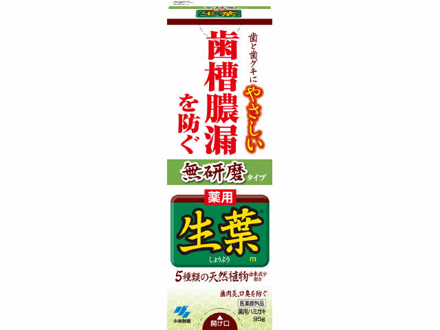 【20個セット】 薬用 生葉 無研磨タイプ 95g×20個セット【正規品】|ブルームグリーン