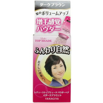【10個セット】 レディーストップシェード パウダーヘア ダークブラウン 20g×10個セット【正規品】|ブルームグリーン