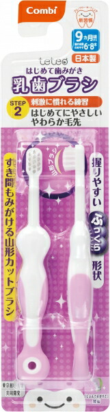 【２０個仕掛ける】 二人組  テテオ 歯牙毛はらい Step2×２０個仕掛ける【置き目品】【k】【mor】【ご申しつける後送りとどけるまでに1週前後もらい受けるする切っ掛けがございます】