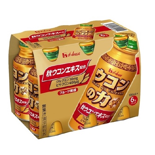 【１０個セット】【１ケース分】 ハウス ウコンの力 ドリンク(100ml*6本入)×１０個セット 　　１ケース分　【正規品】※軽減税率対象品